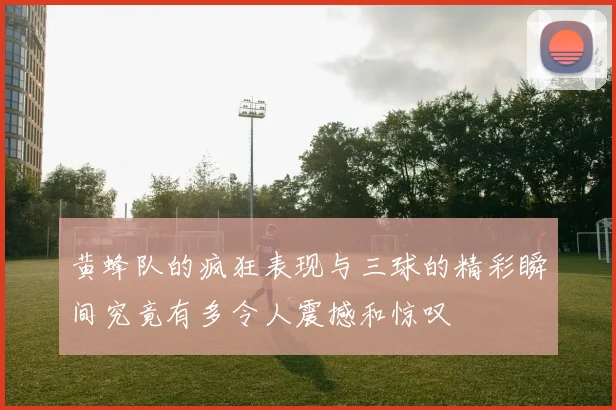 黄蜂队的疯狂表现与三球的精彩瞬间究竟有多令人震撼和惊叹